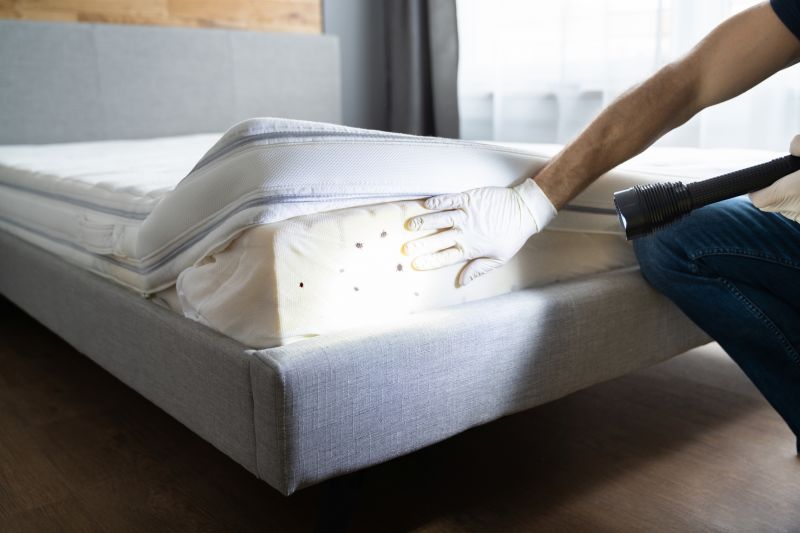 Mattress Fumigation