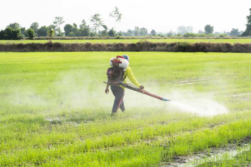 Pest Control in Commercial Storage