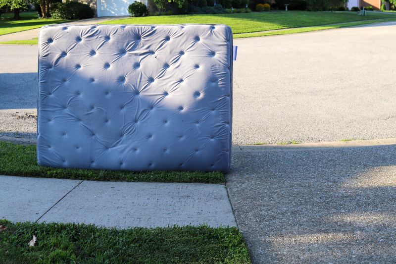 Clean and Treated Mattress