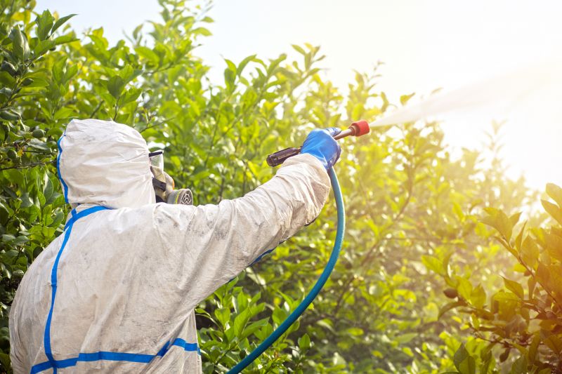 Types Of Pests That Require Fumigation Treatment