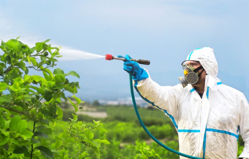 Rat Fumigation Service in Franklin, TN