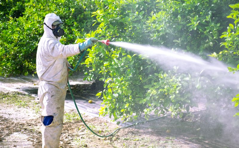 Residential Fumigation in Santa Fe, NM