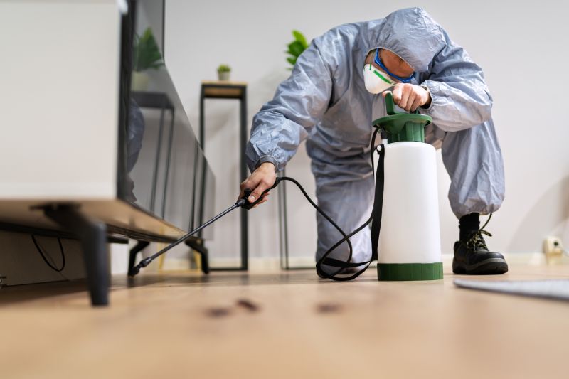 Roach Fumigation in Fredericksburg, VA